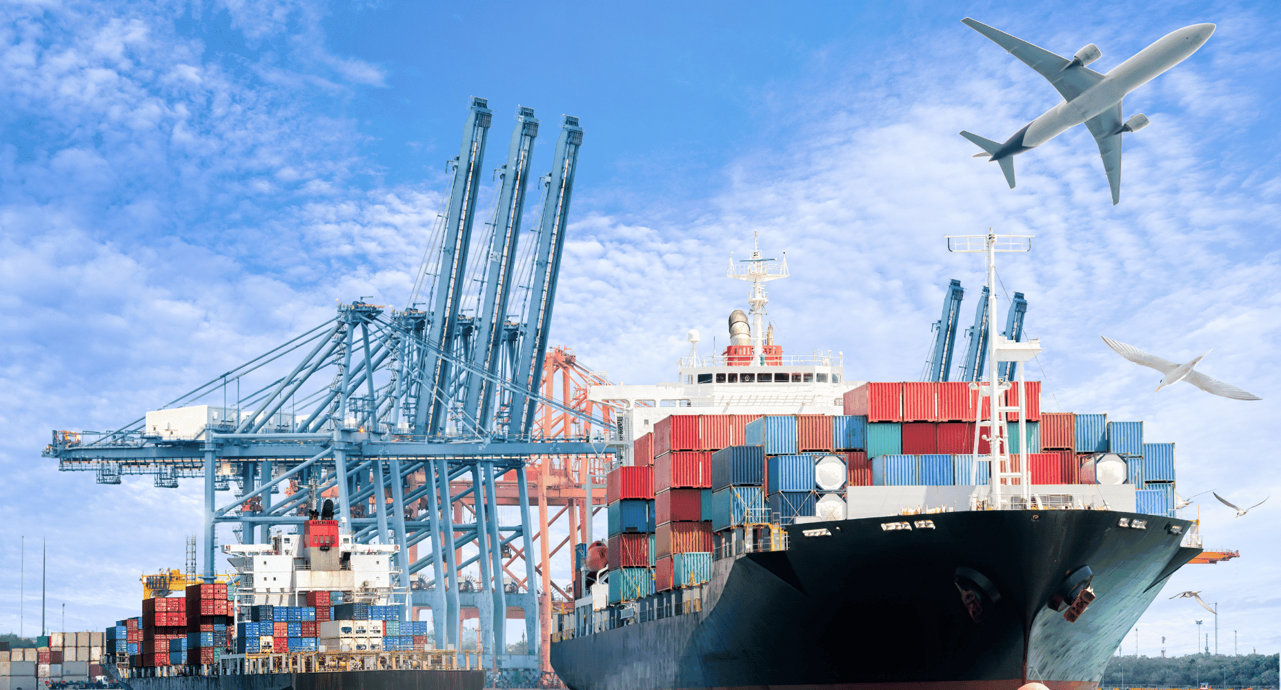 Shipping and Logistics